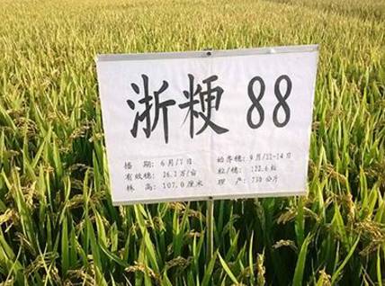 按此在新窗口瀏覽圖片