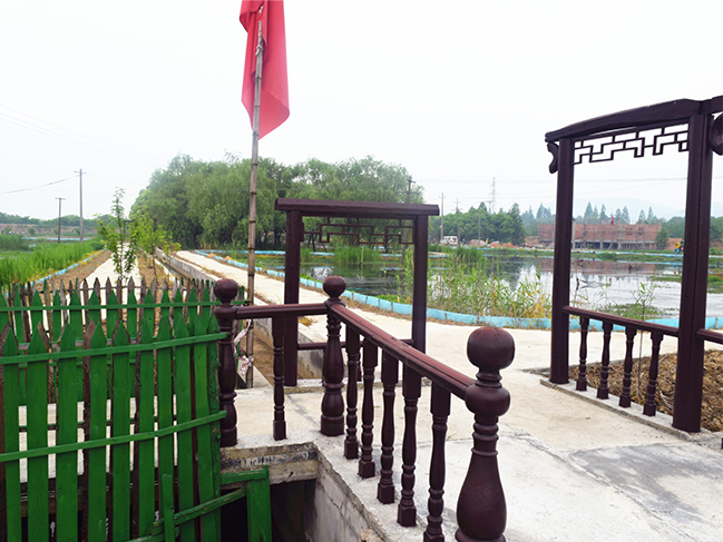 小龍蝦養(yǎng)殖基地