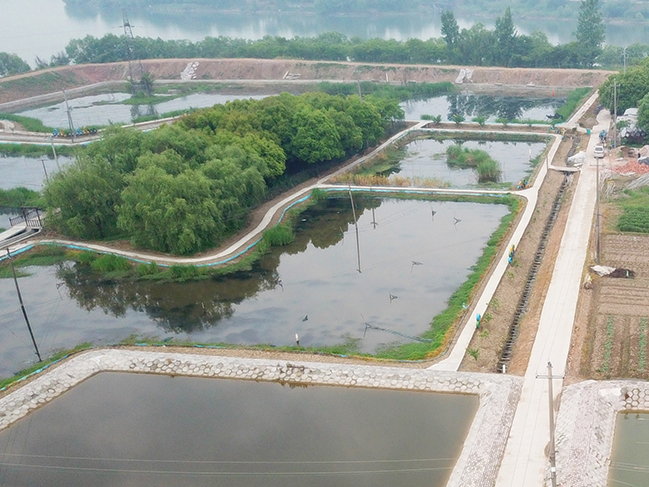 小龍蝦養(yǎng)殖基地