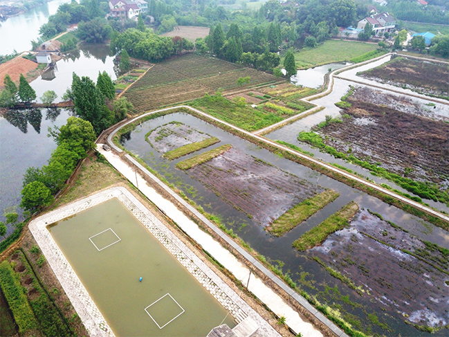  小龍蝦養(yǎng)殖基地