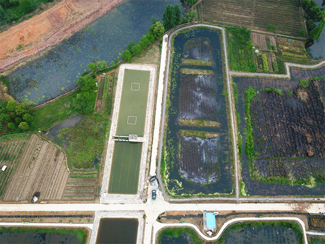  小龍蝦養殖基地